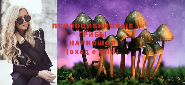 гидропоника Армянск