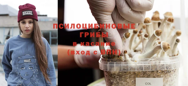 гидропоника Армянск
