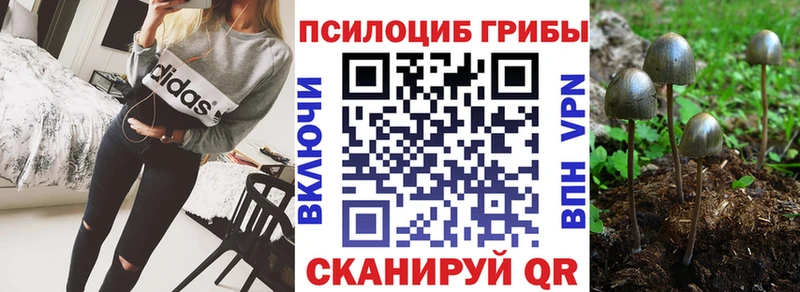 Псилоцибиновые грибы мицелий Михайловск